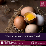 วิธีการหา Soul Card เป้าหมายจิตวิญญาณของตัวเองจากไพ่ Major Acana